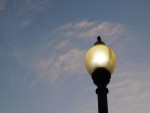 A street lamp against a blue sky