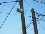 A transformer on a street light set against a blue sky